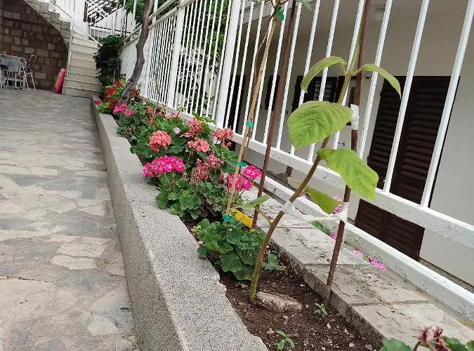 2576a 포도카