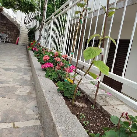2576a Podaca